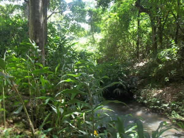 The Oloolua Nature Trail