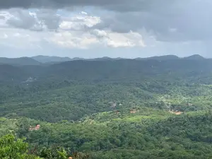 Pico Alto