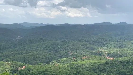 Pico Alto