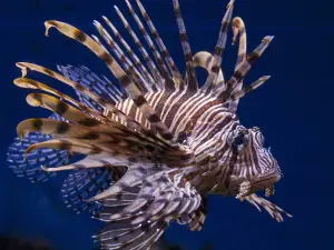 South Carolina Aquarium