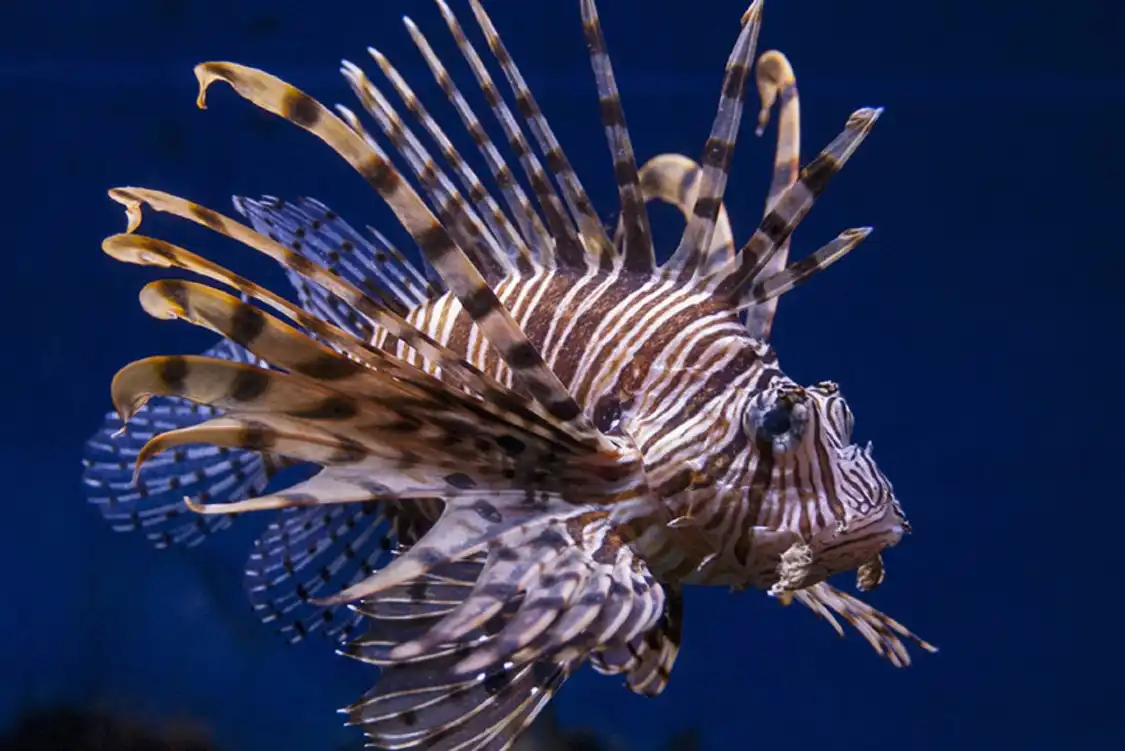 โรงแรมใกล้South Carolina Aquarium