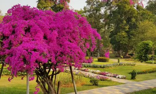 Doi Saket Hot Spring
