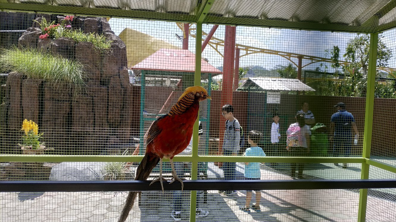 Saloka Theme Park