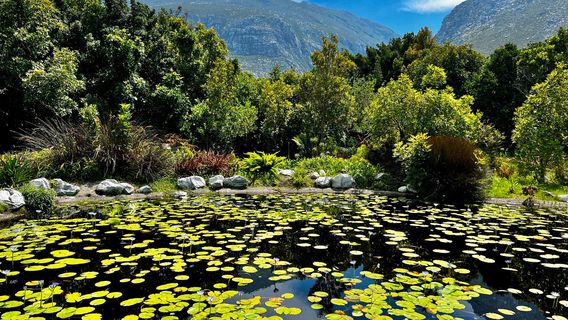Harold Porter National Botanical Gardens