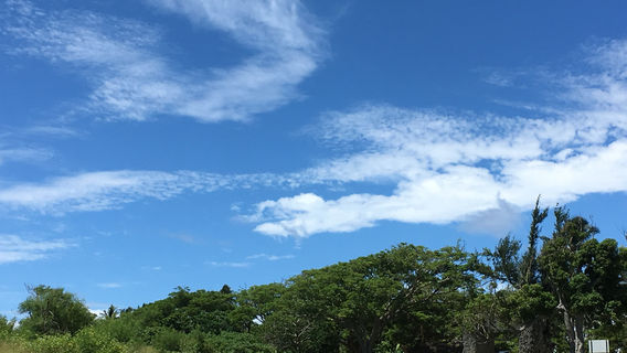 Ha'amonga'a Maui Trilithon