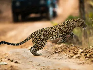 Achanakmar Wildlife Sanctuary