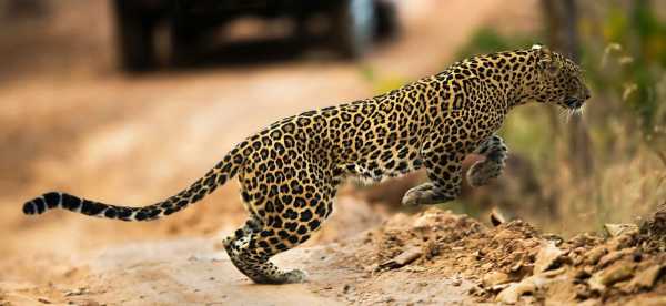 Hotels in Chhattisgarh, Intia