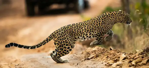 Hotels in Chhattisgarh, Indien