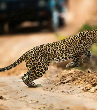 Auberges de jeunesse de Chhattisgarh, Inde