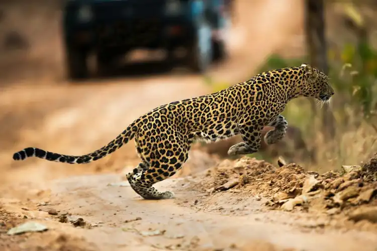 Villen in Chhattisgarh, Indien