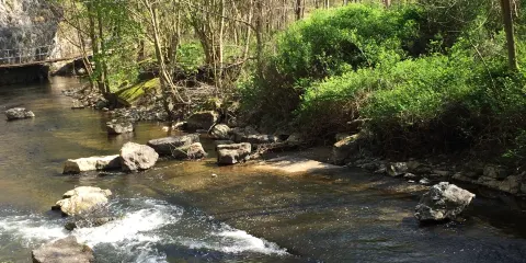 Les Grottes de Neptune
