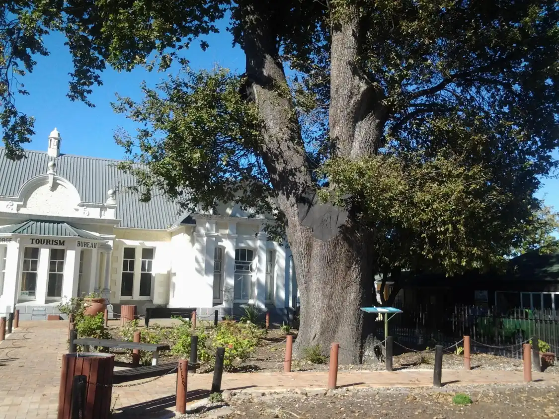 Hotels near The Old Oak Slave Tree