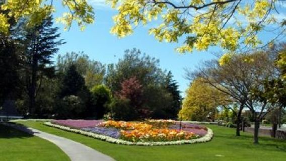 Parco Pollard