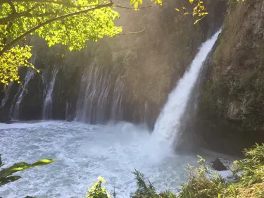 Uruapan del Progreso