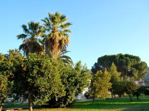 Yoruk Ali Efe Museum