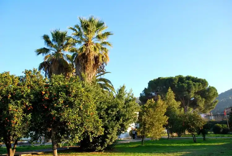 Hotels in Yenipazar