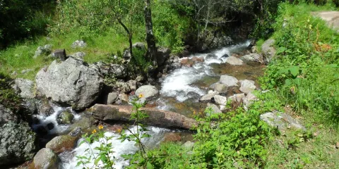 埃爾奇科國家公園