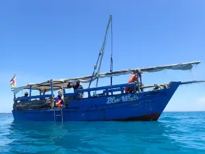 Wasini's Blue Whale Boat Operators