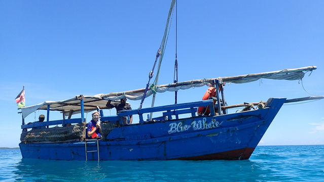 Wasini's Blue Whale Boat Operators
