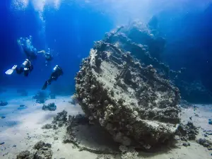 Blue Ocean Dive Centers & Resorts