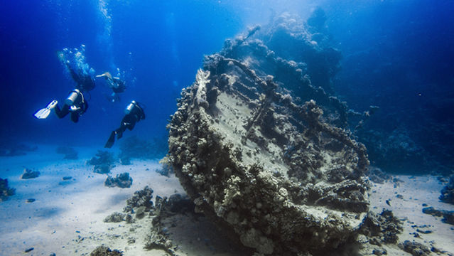 Blue Ocean Dive Centers & Resorts