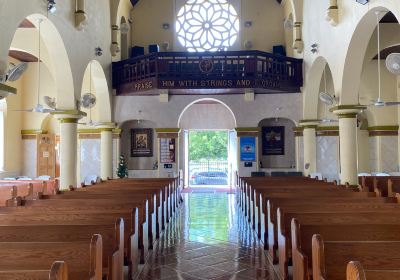 Immaculate Conception Co-Cathedral Catholic Church