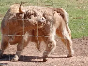 Altina Wildlife Park