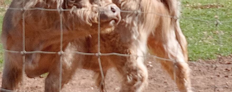 Altina Wildlife Park