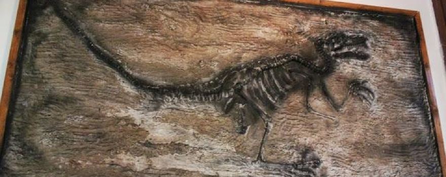 House of Dwarf Dinosaurs