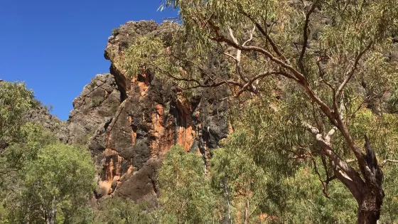 Windjana Gorge National Park