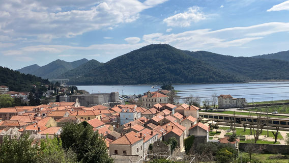 Ston