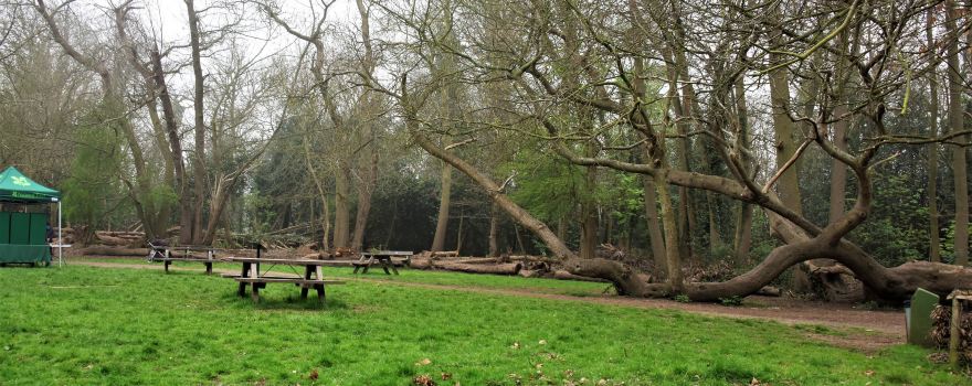 Scadbury Park Nature Reserve