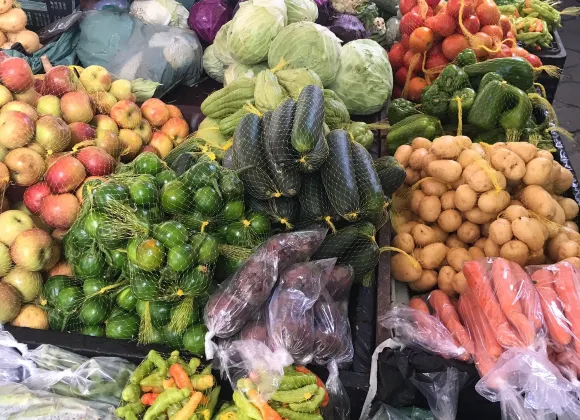 泰謝拉-迪弗雷塔斯