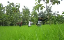Saigon Hash House Harriers