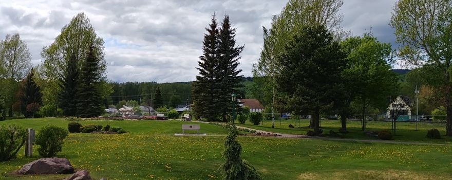 Steelhead Park