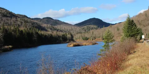 Laurentides Wildlife Reserve