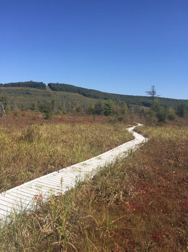5_Cranesville Swamp Nature Preserve