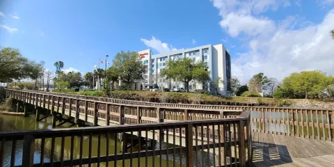 Gator Alley Boardwalk