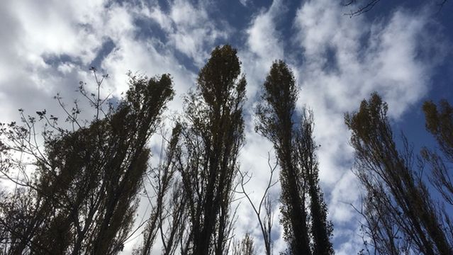 Tenuta Di Tormarancia