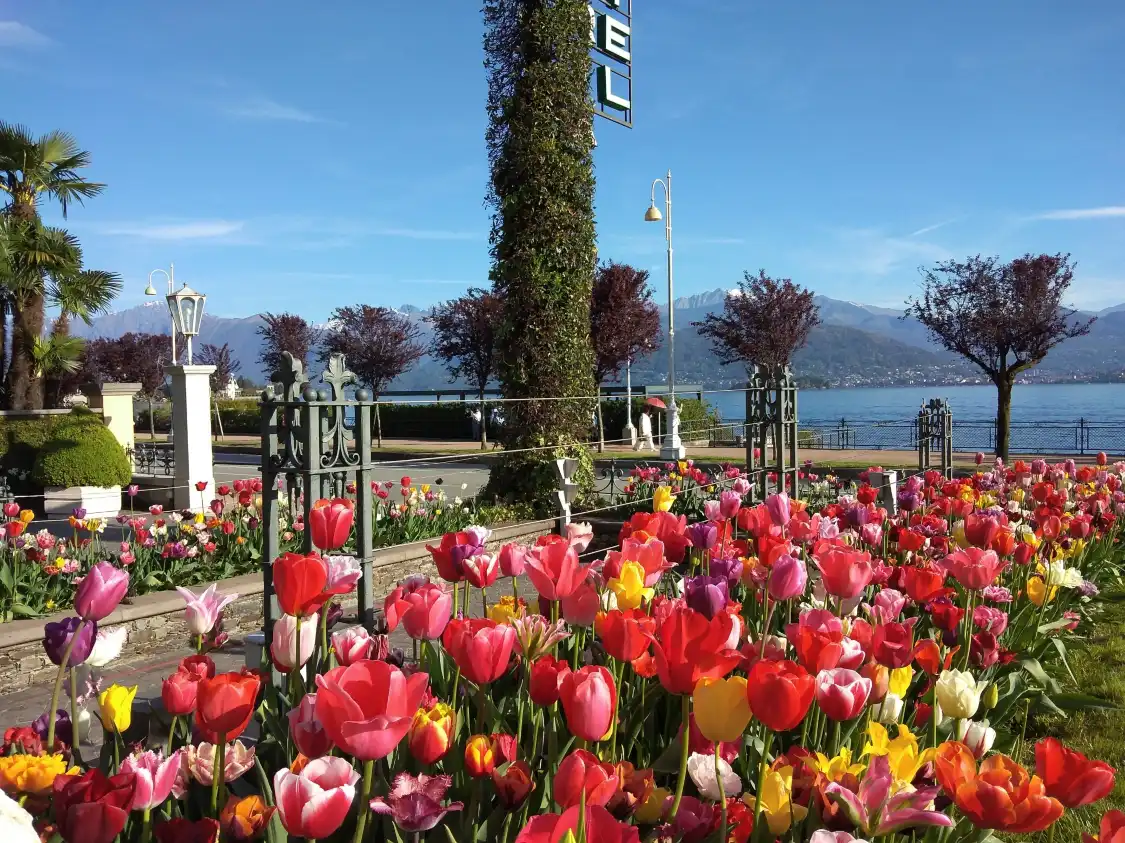Monumento al Mulo附近的飯店