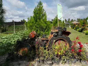 Mariano's Blooming Agri-Tourism Park