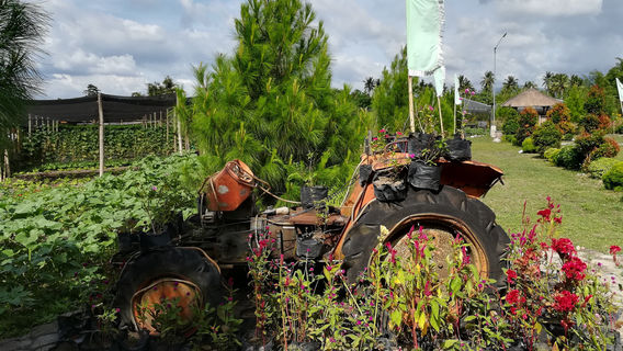 Mariano's Blooming Agri-Tourism Park