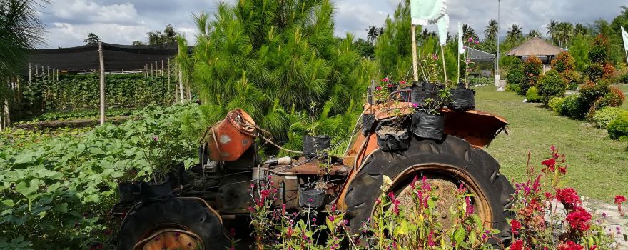 Mariano's Blooming Agri-Tourism Park