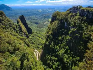 Altos Corvo Branco