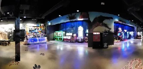 Pangaea Land of the Dinosaurs