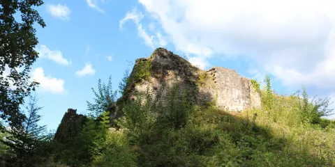 Burgruine Keppenbach