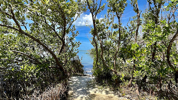 Lee County Parks & Recreation Dog Beach