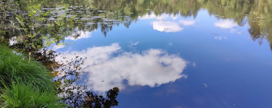 Sägmühlweiher