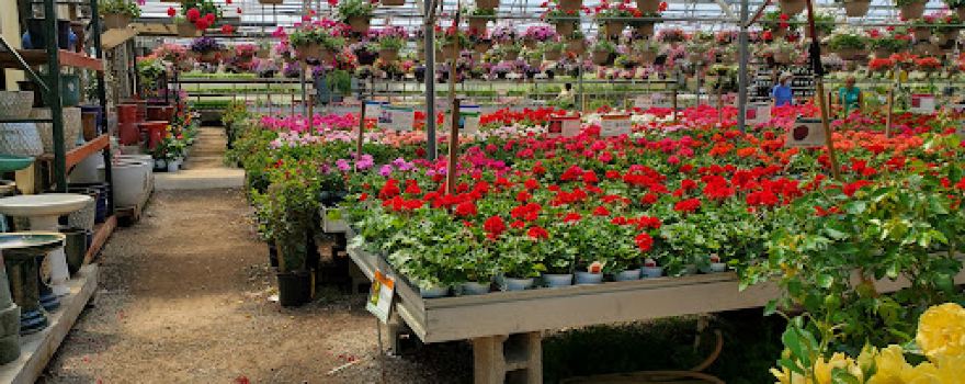 Stan's Garden Center - East Location