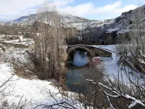 Puente Allende